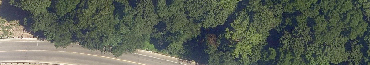Rosedale Ravine Lands — site photograph
