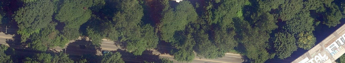 Rosedale Ravine Lands — site photograph