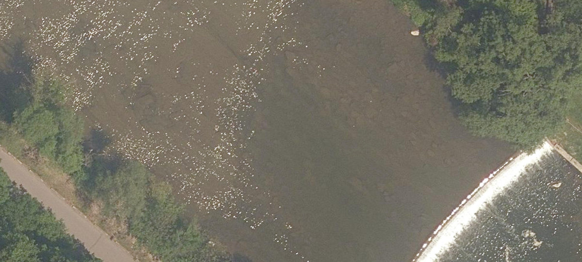 Humber River Watercourse — site photograph