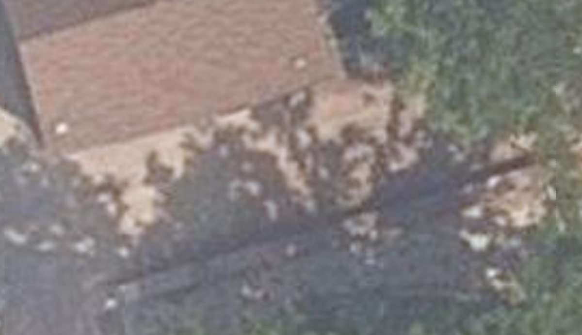 Glasgow Parkette — aerial / top-down view