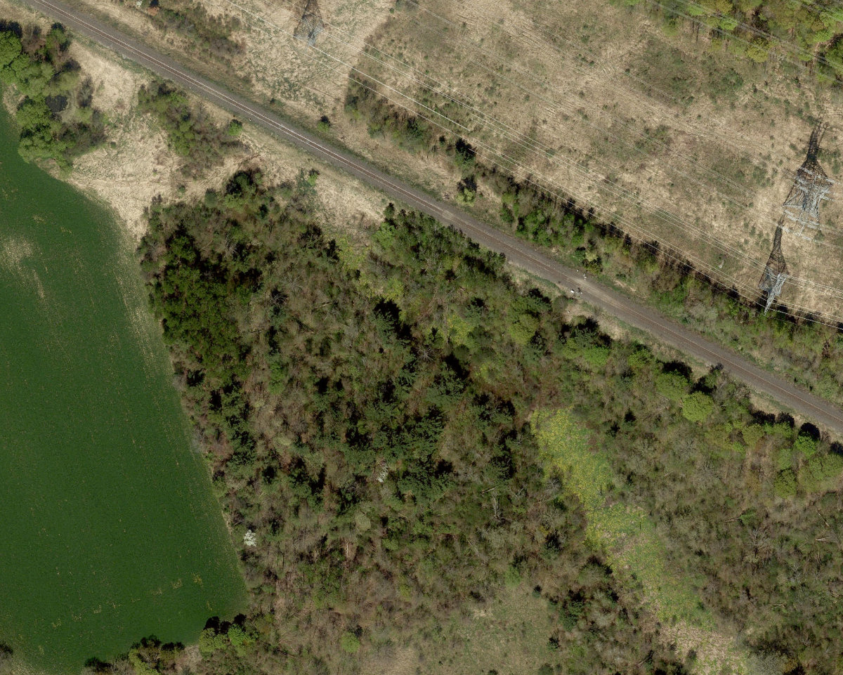 Rouge Park — site photograph