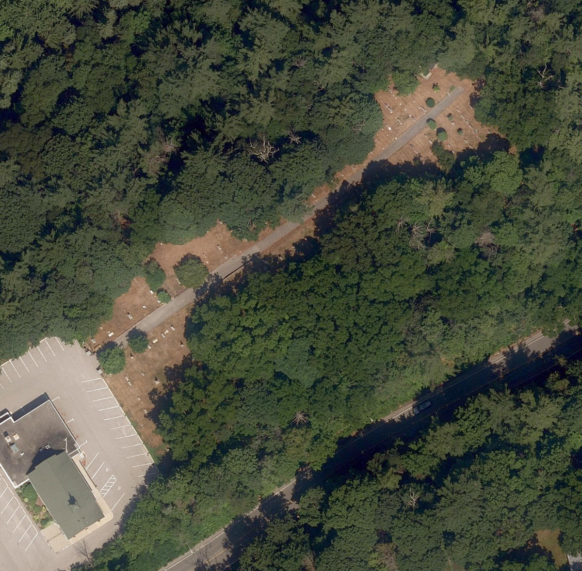 Melville Presbyterian Cemetery — site photograph