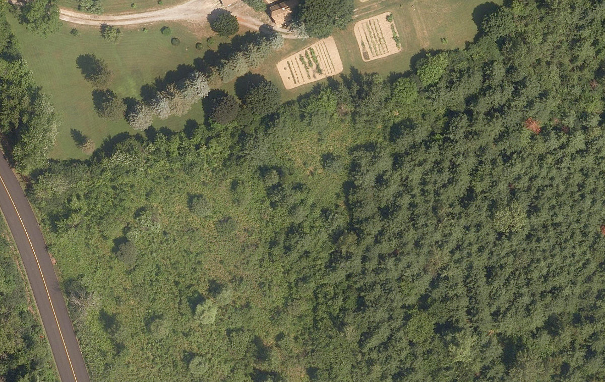 Rouge Park — site photograph