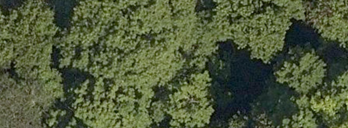 Toronto Zoo — site photograph