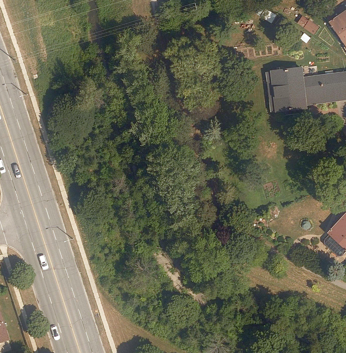 East Highland Creek Watercourse — site photograph