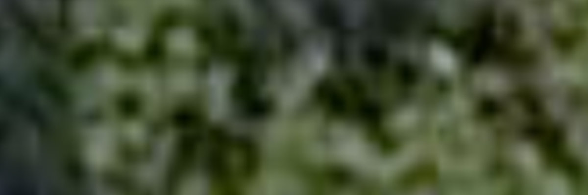 Toronto Zoo — site photograph