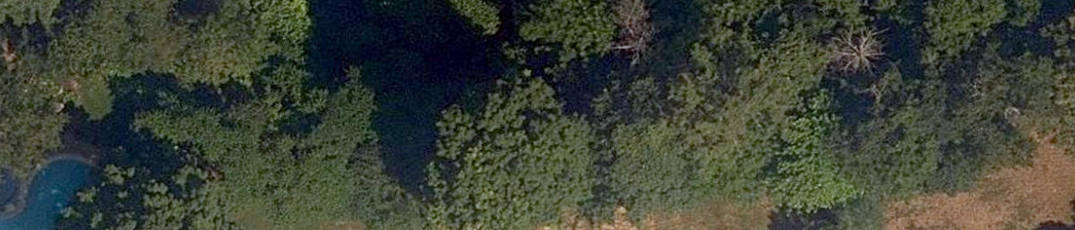 Rouge Park — site photograph