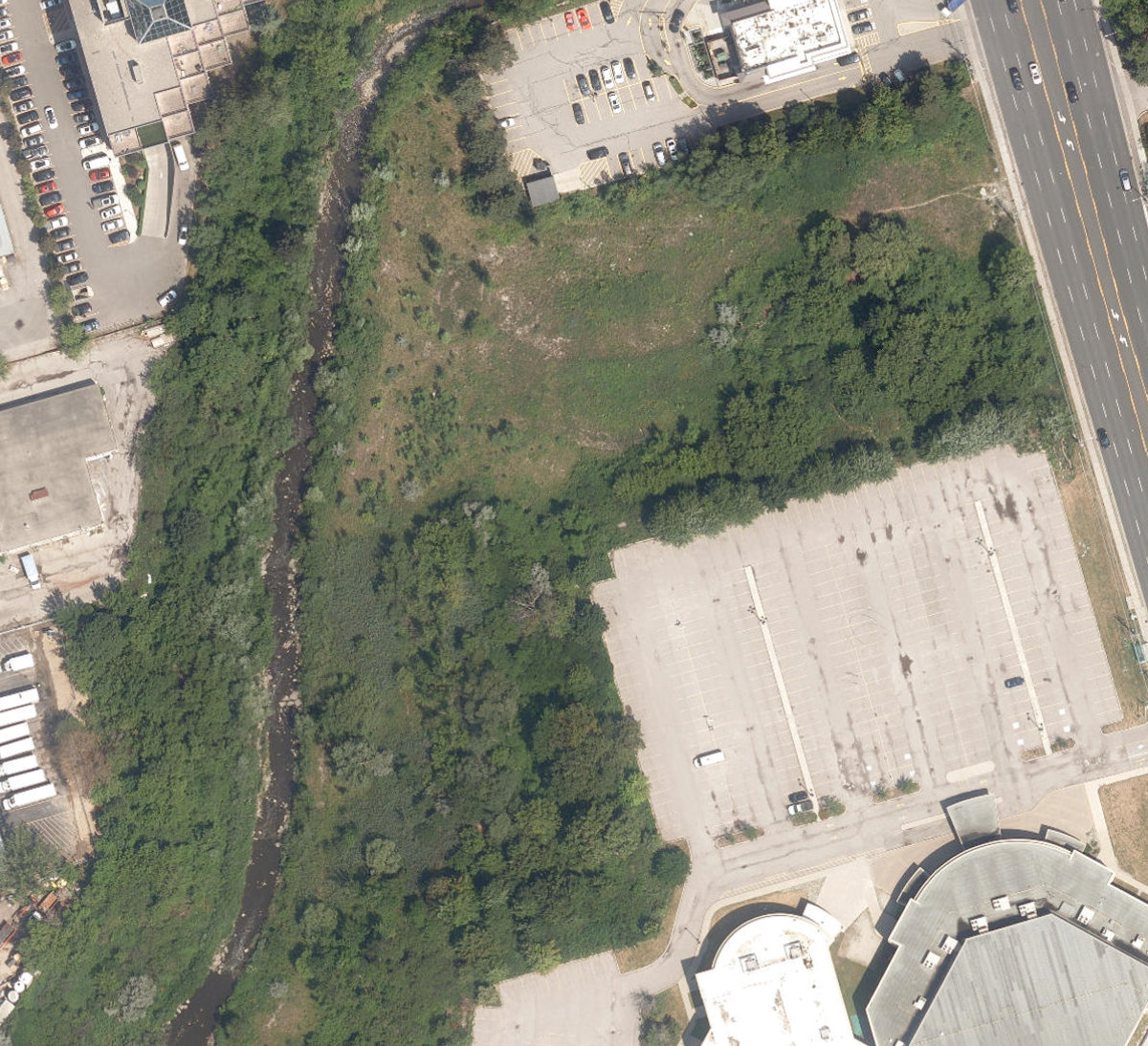 East Highland Creek Watercourse — site photograph
