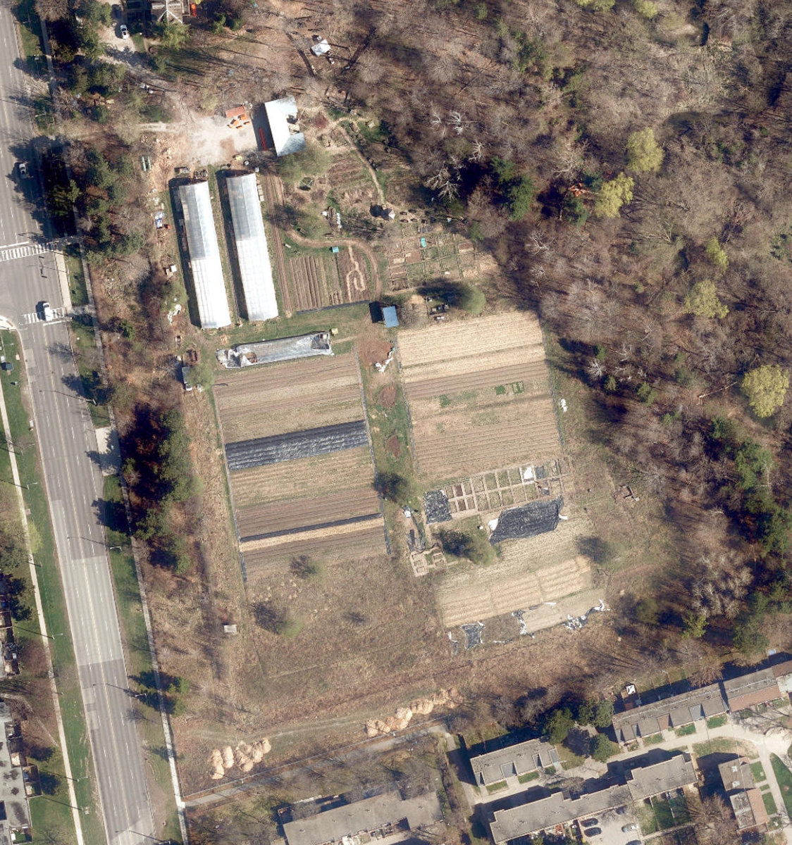 Pioneer Creek Village — site photograph