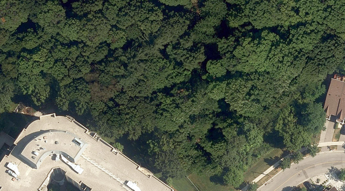 Moccasin Trail Park — site photograph