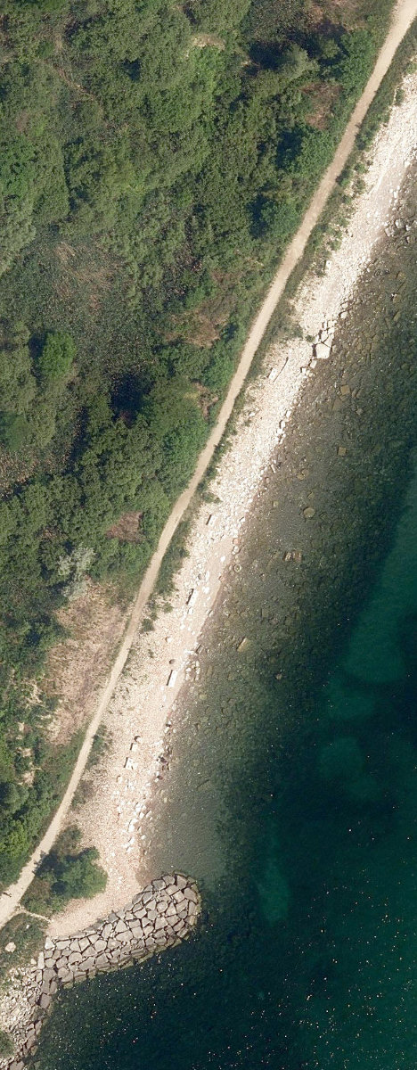 Sylvan Park - Gates Gully — site photograph
