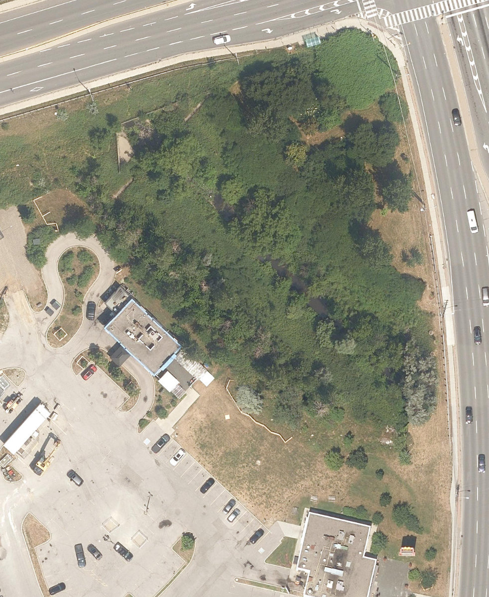 East Highland Creek Watercourse — site photograph