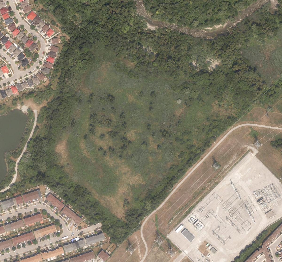 City Wide Open Space — site photograph
