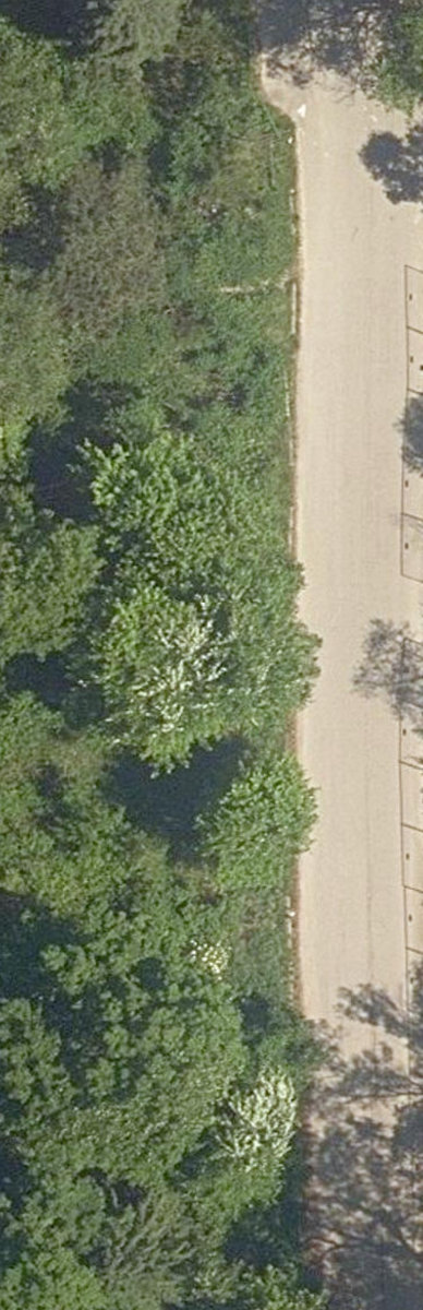 Taylor Creek Park — site photograph