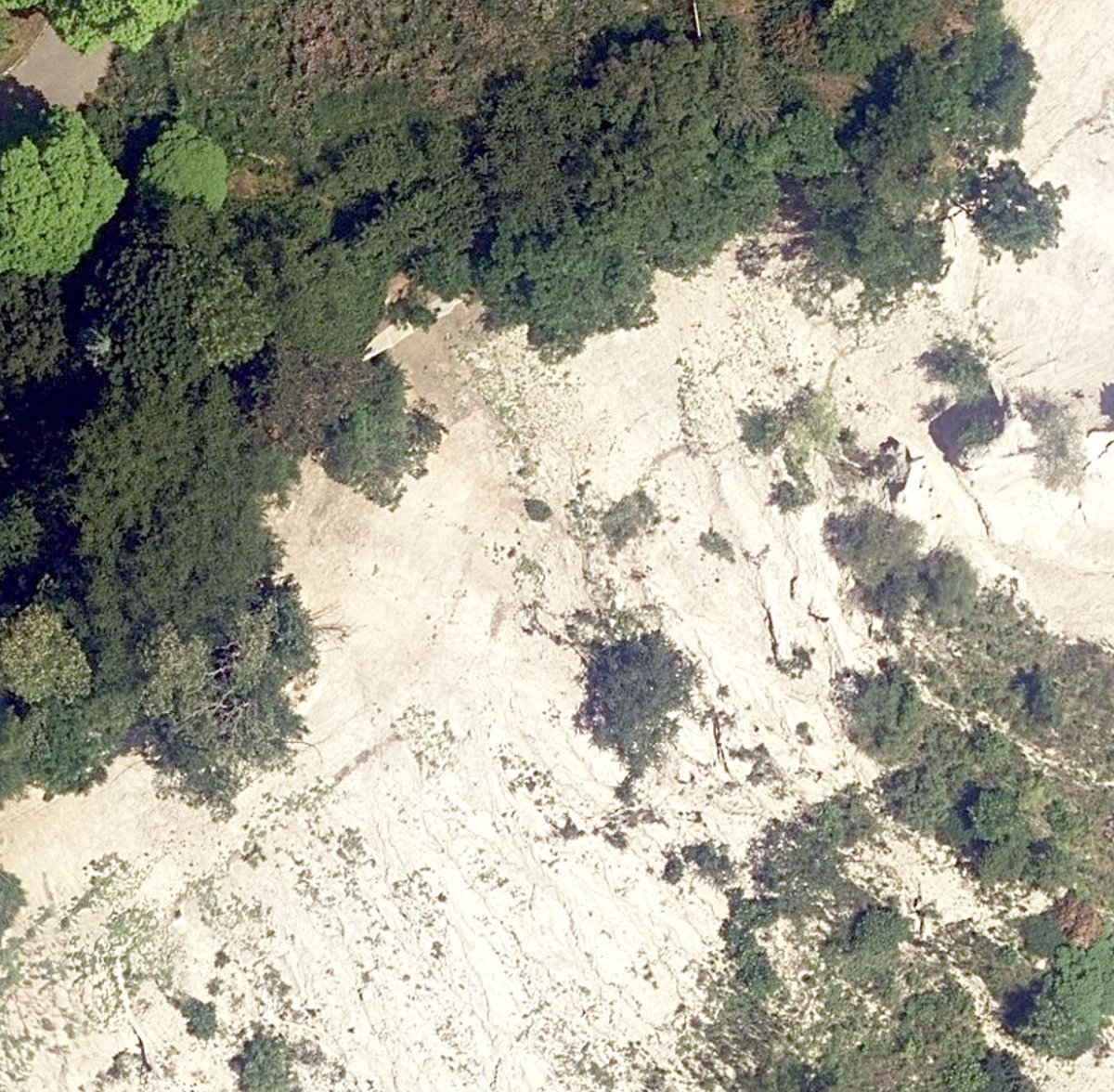 Scarborough Bluffs Park — site photograph