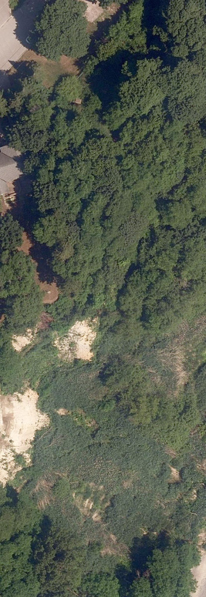Lakefront Open Lands — site photograph
