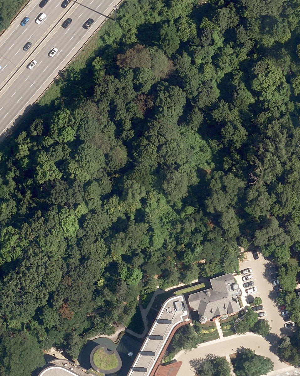 Lower Don Parklands — site photograph
