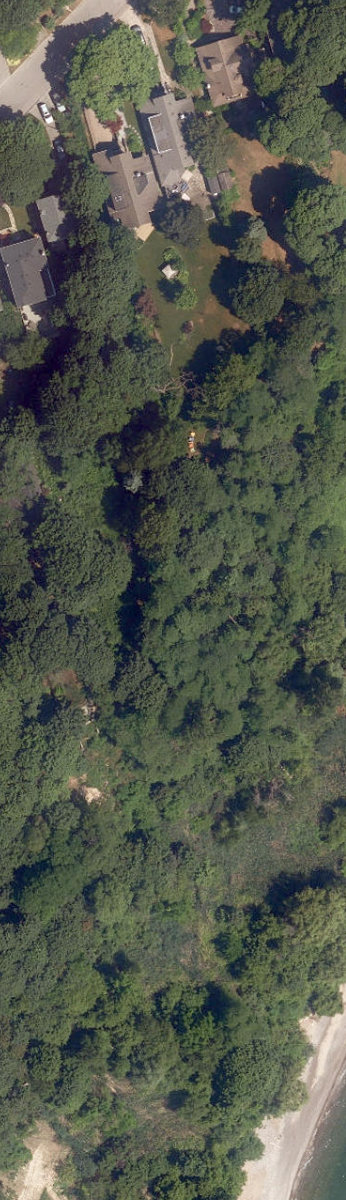 Lakefront Open Lands — site photograph