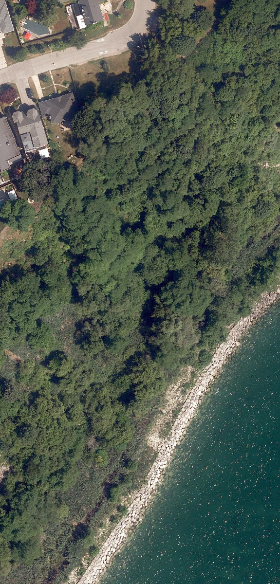 Lakefront Open Lands — site photograph