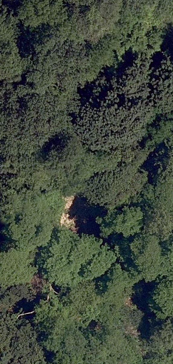 Lakefront Open Lands — site photograph
