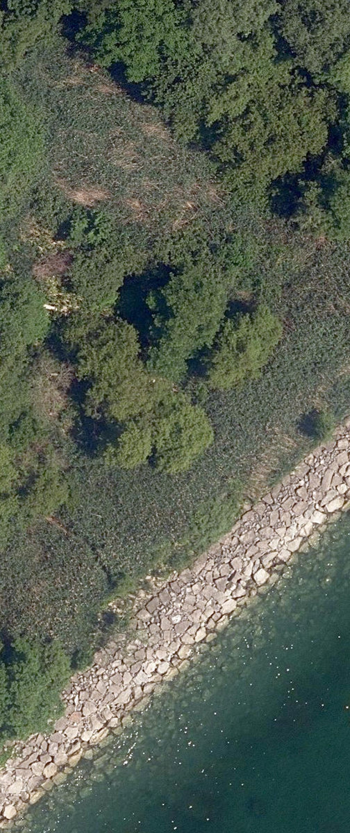 Lakefront Open Lands — site photograph