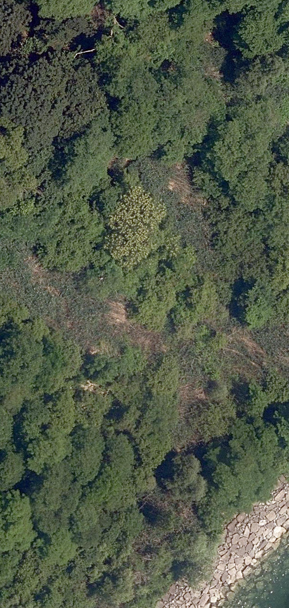 Lakefront Open Lands — site photograph