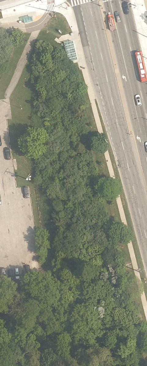 Scarlett Woods Golf Course — site photograph