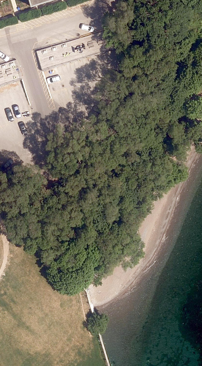 Fallingbrook Road Slopes — site photograph