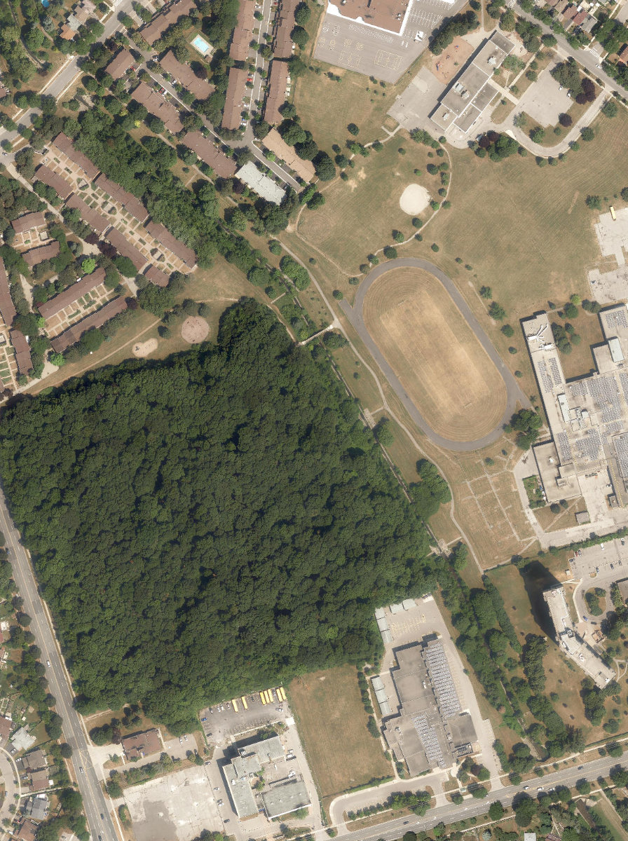 East Highland Creek Watercourse — site photograph
