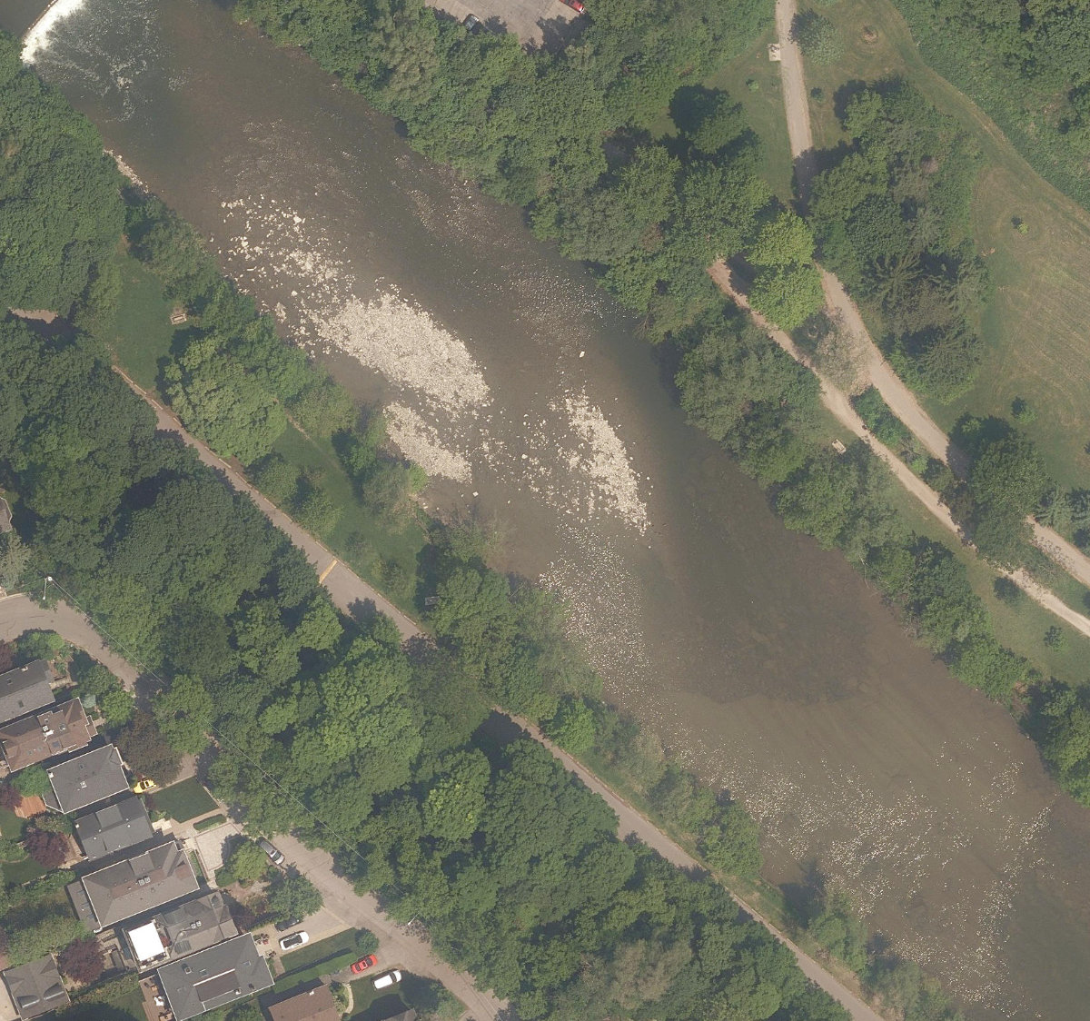 Humber River Watercourse — site photograph