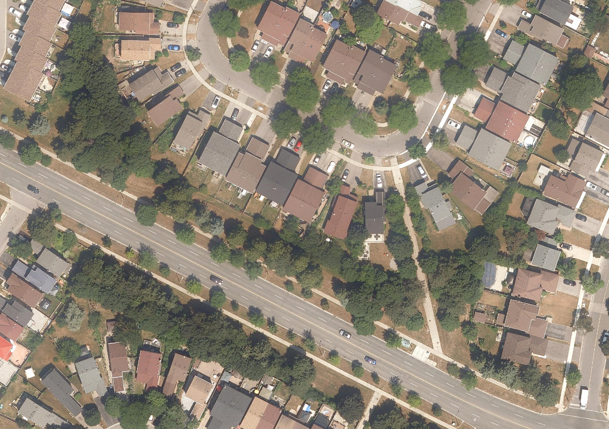 City Wide Open Space — site photograph
