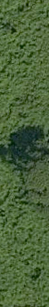 Marie Curtis Park — site photograph