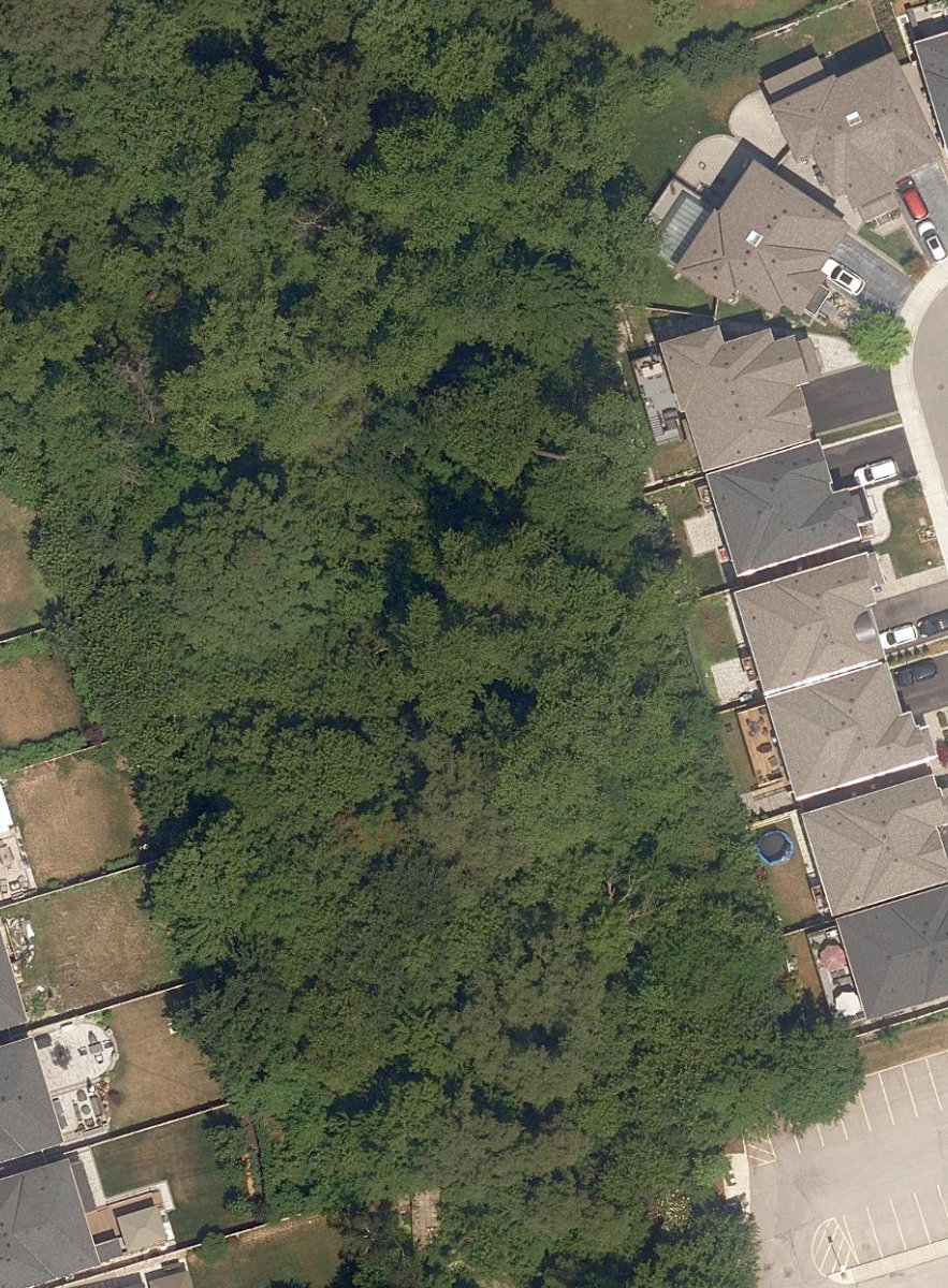 Highland Creek Ravine — site photograph