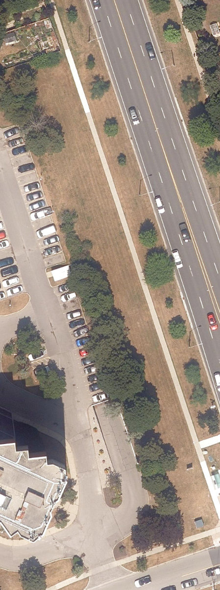City Wide Open Space — site photograph