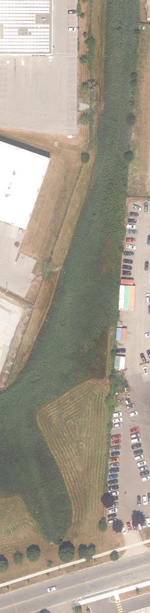 Rouge River Watercourse — site photograph