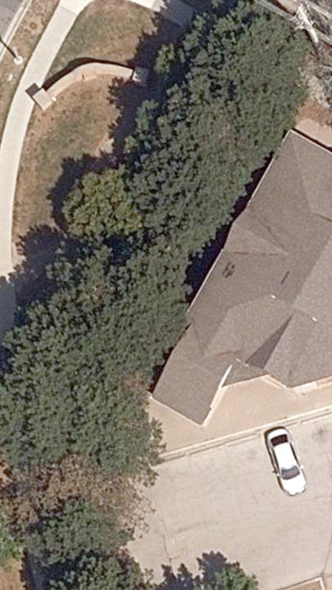 City Wide Open Space — site photograph