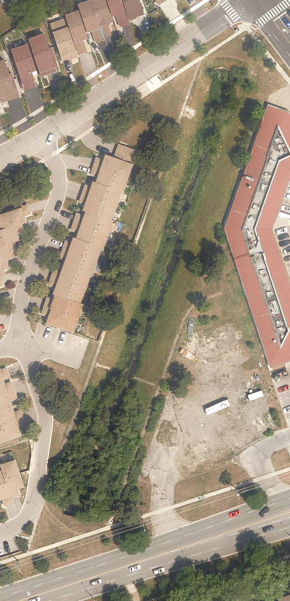 West Highland Creek Watercourse — site photograph
