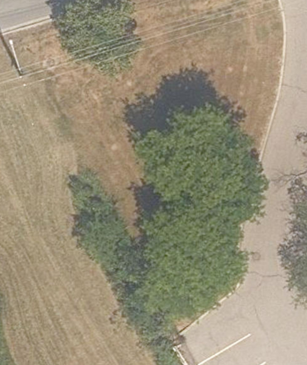 City Wide Open Space — site photograph