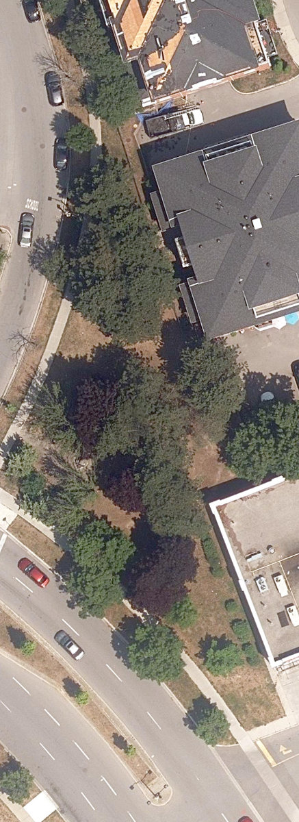 City Wide Open Space — site photograph