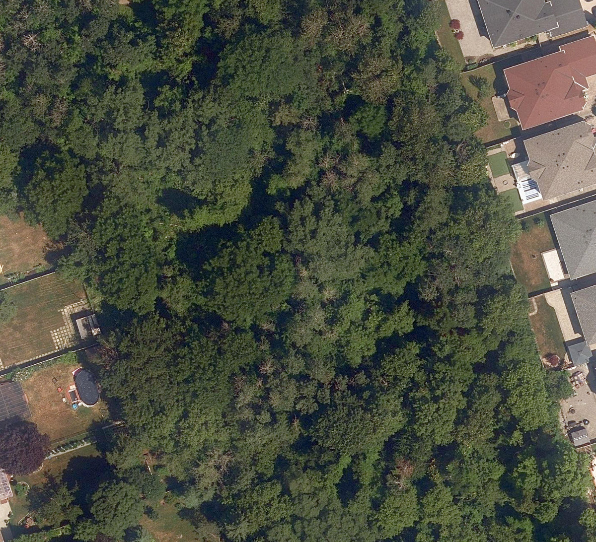 City Wide Open Space — site photograph