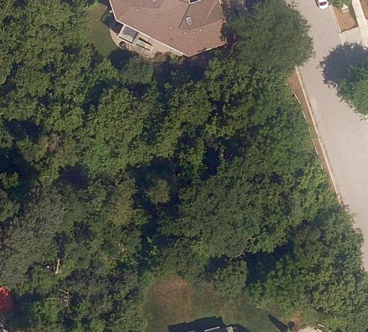 City Wide Open Space — site photograph