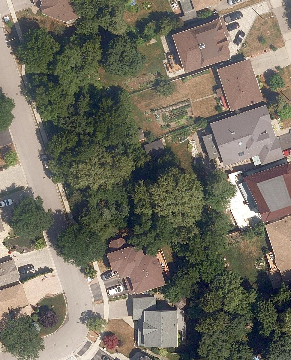 City Wide Open Space — site photograph