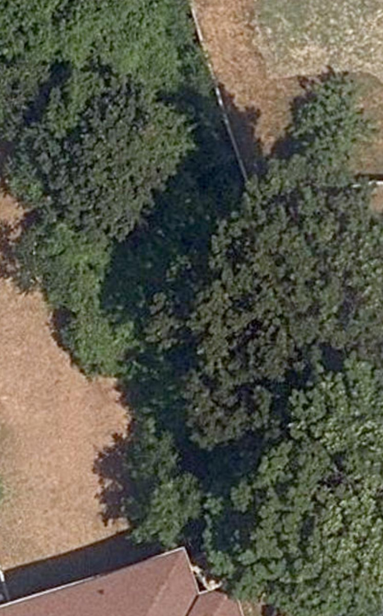 City Wide Open Space — site photograph