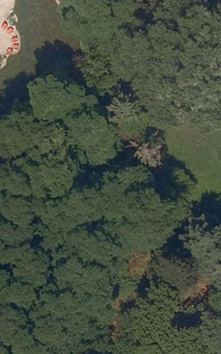 Laura Ellis Park — site photograph