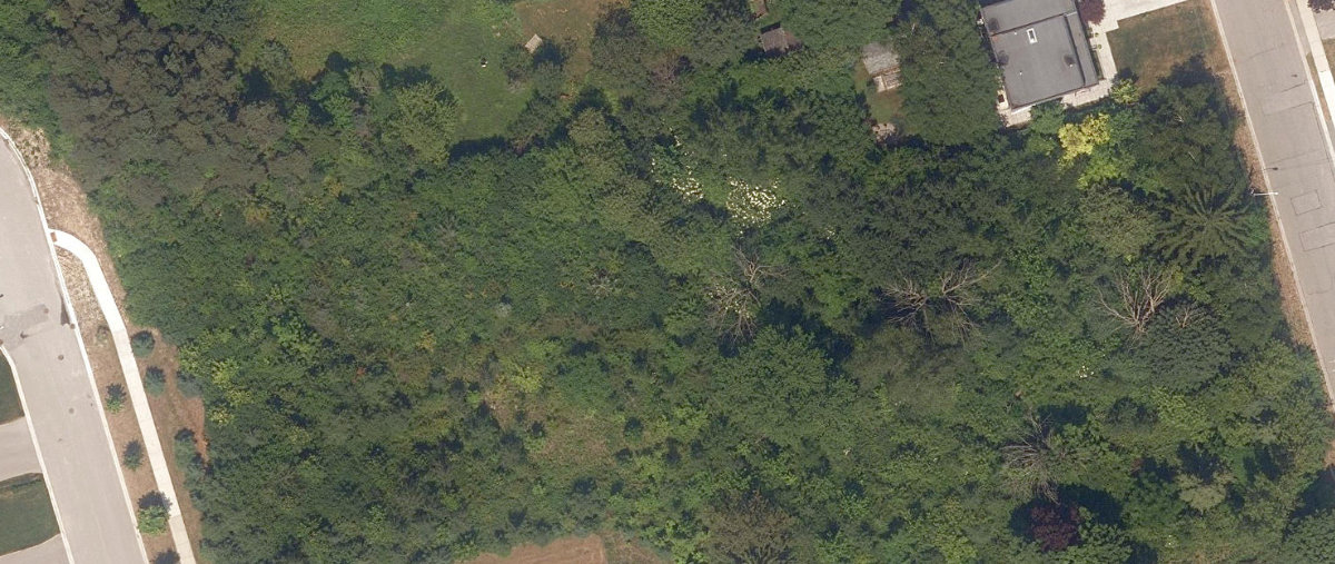 City Wide Open Space — site photograph