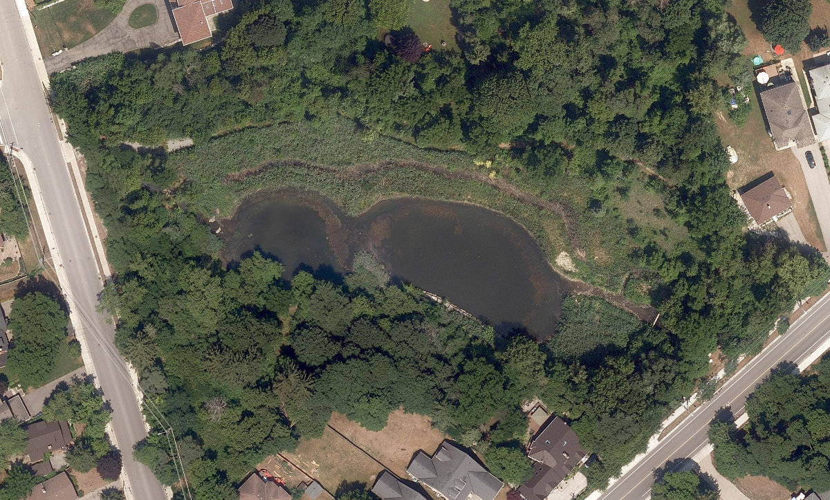 Highland Creek Tributary — site photograph