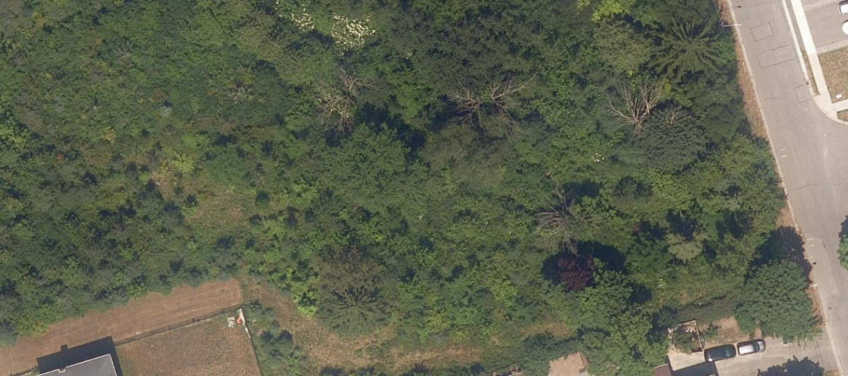 City Wide Open Space — site photograph