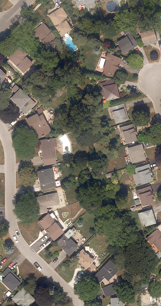 Adam'S Creek Ravine — site photograph