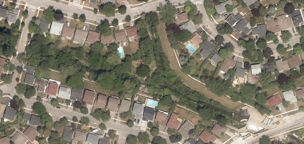 West Highland Creek Watercourse — site photograph