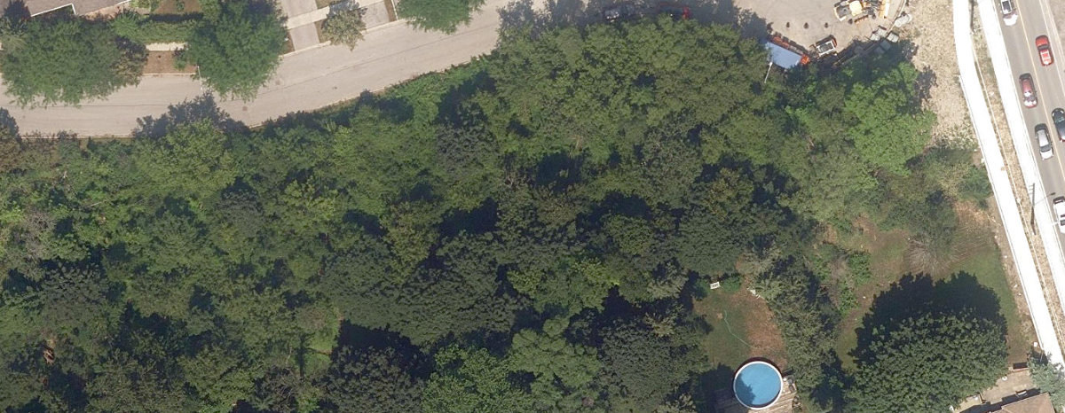 Adam'S Creek Ravine — aerial / top-down view